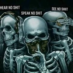 Meet your Posher, Norman